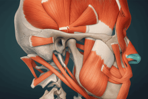 Blog 10 disfunctia_atm_durere_cap