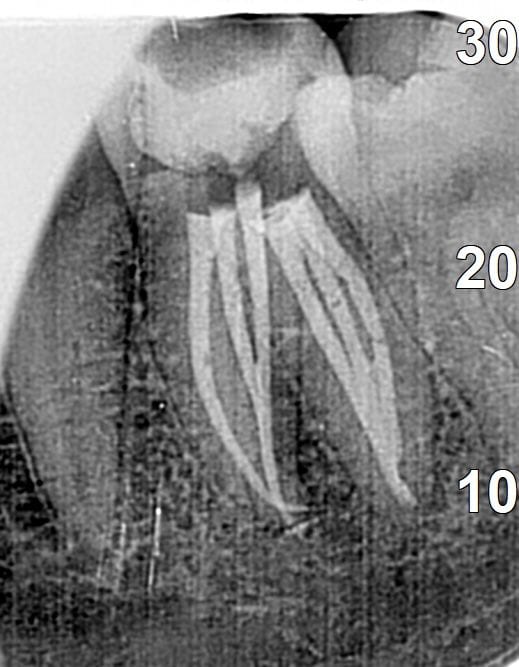 PHOTO 2025 10 02 09 26 31 2