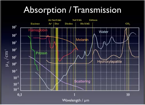 absorption transmission