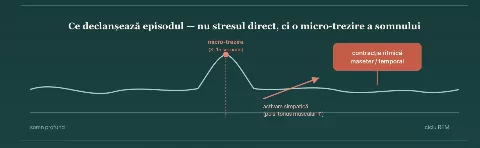ce declanseaza