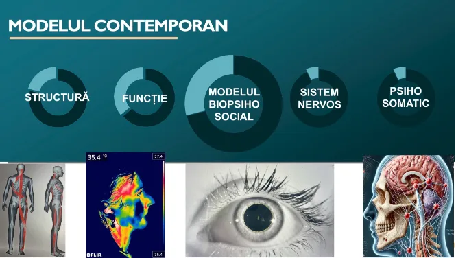 model contemporan